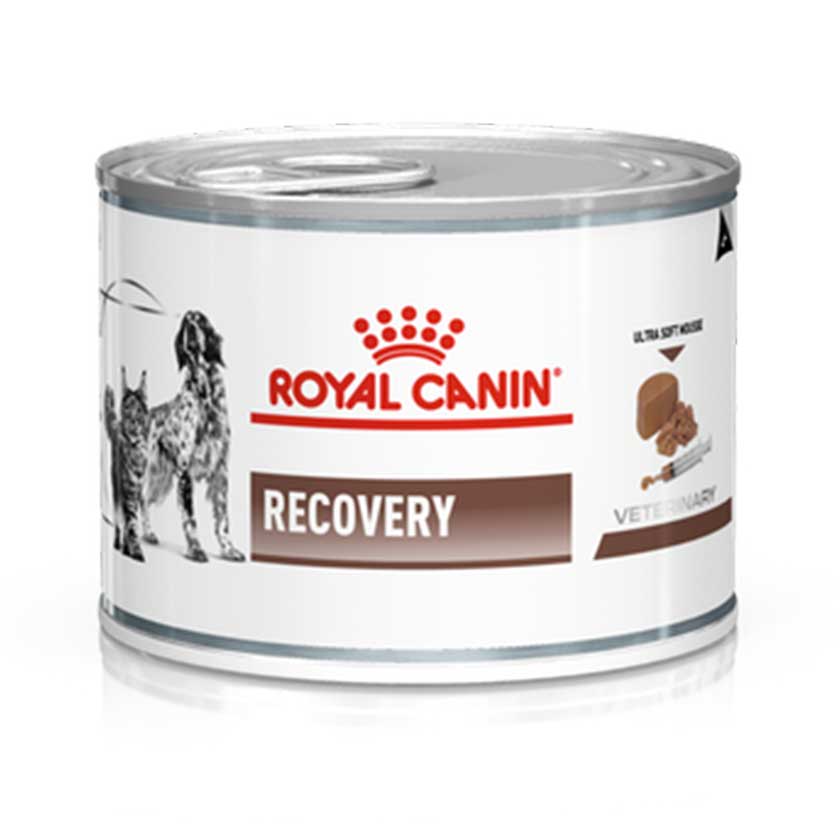 ROYAL CANIN Recovery RS Cats & Dogs Lata