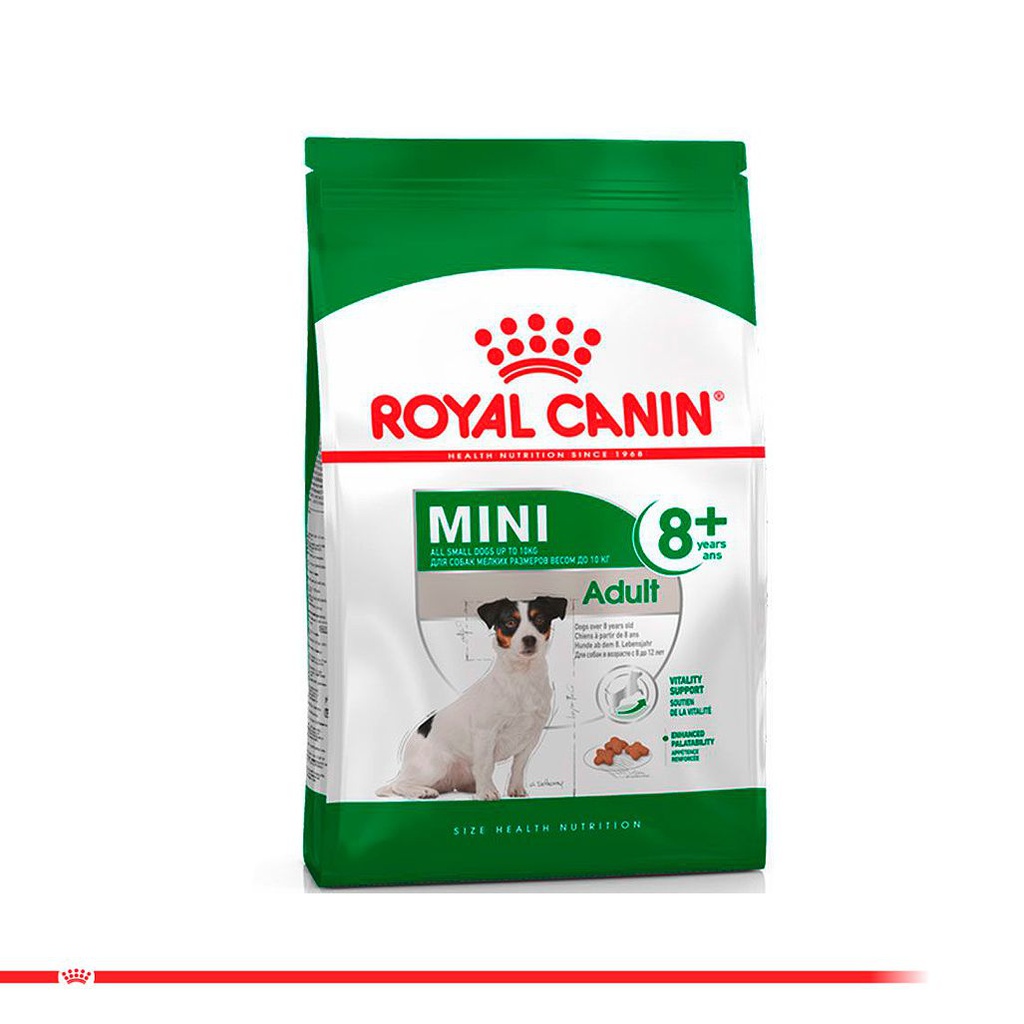 ROYAL CANIN MINI ADULTO 8+ 