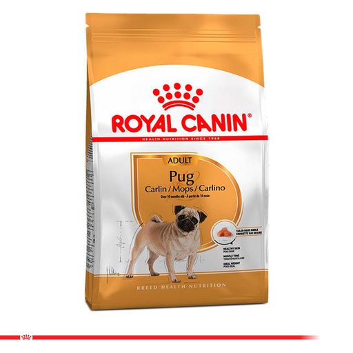 ROYAL CANIN Pug Adult
