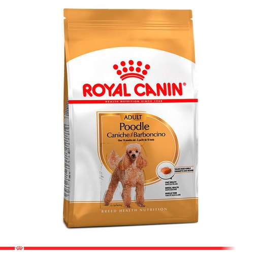 ROYAL CANIN POODLE 