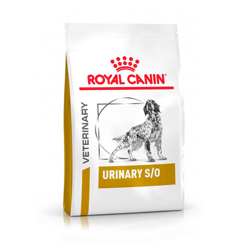 ROYAL CANIN URINARY S/O CANINE