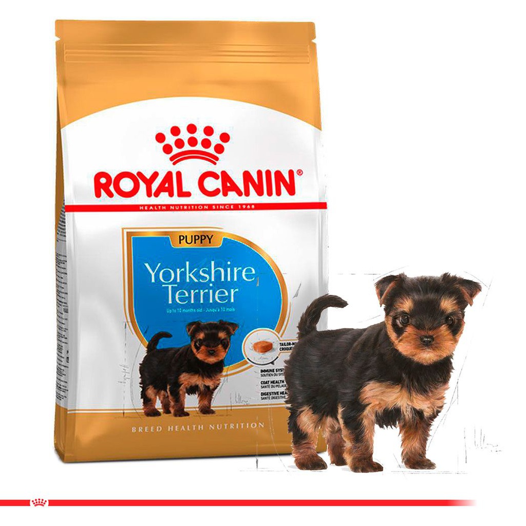 ROYAL CANIN Yorkshire Terrier Puppy