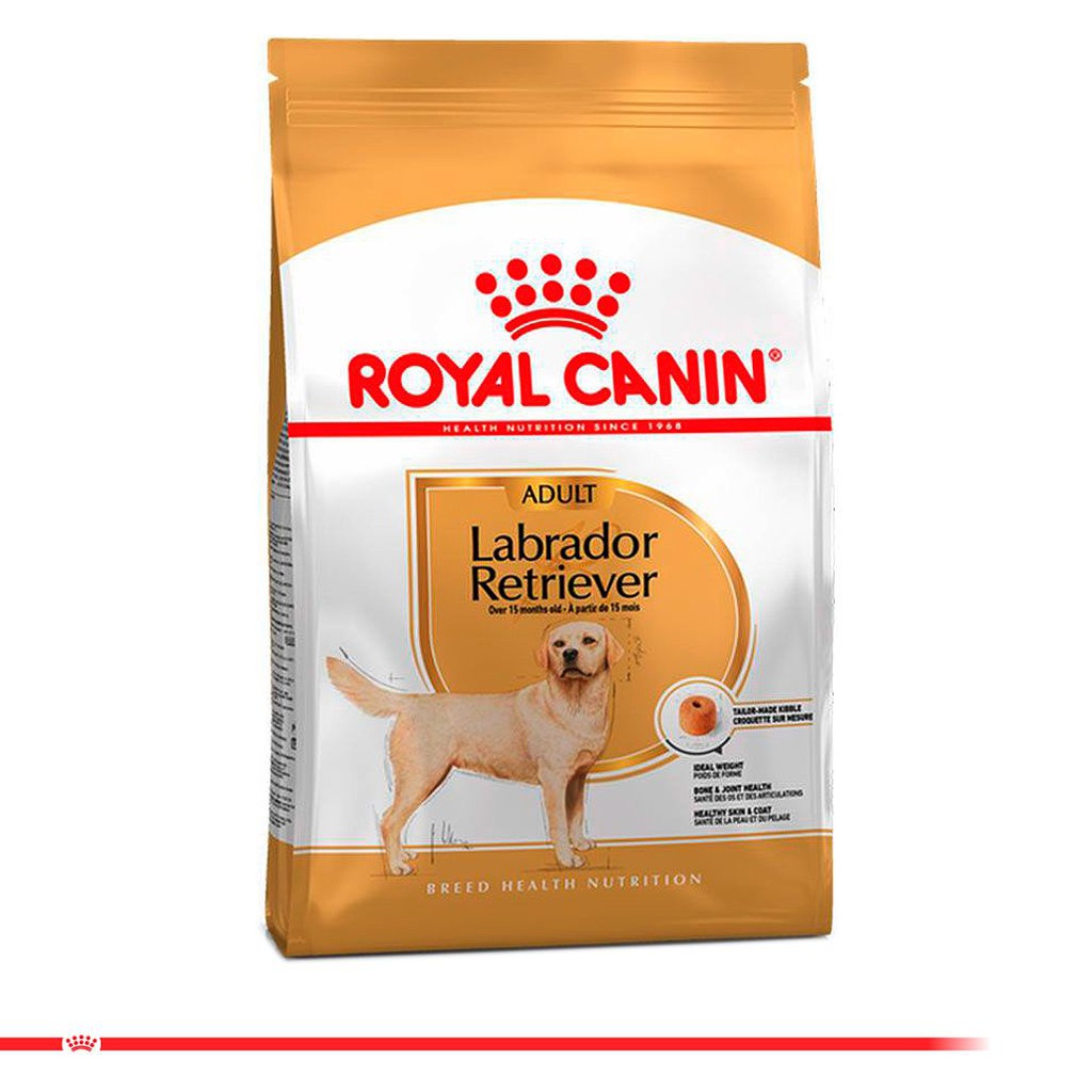ROYAL CANIN Labrador Retriever Adult