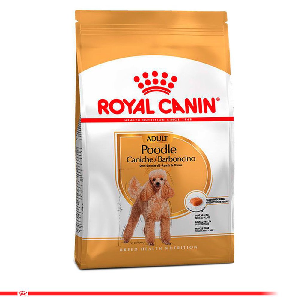 ROYAL CANIN Poodle Adult