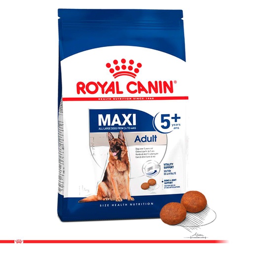 ROYAL CANIN MAXI ADULT 5+